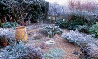 paisagismo e jardinagem no inverno