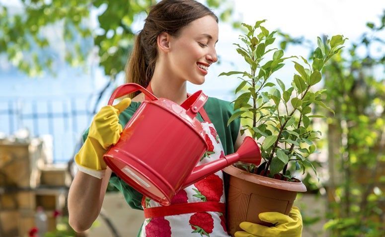 Horta em casa significa alimentos frescos, sem agrotóxicos e decoração! A Gideão paisagismo e Jardinagem traz esse artigo recheado de dicas para você fazer sua horta em casa!
