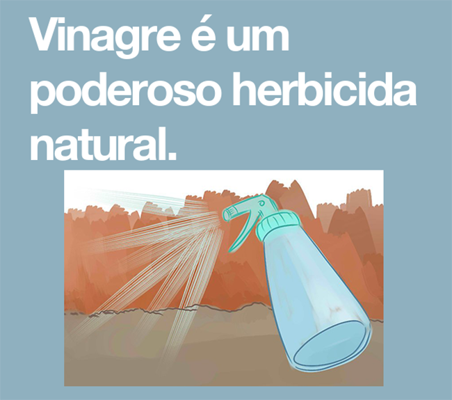 Benefícios do vinagre em sua horta ou jardim Vinagre como tratamento natura para horta e jardim Paisagismo e Jardinagem no Rio de Janeiro - Gideão paisagismo e Jardinagem